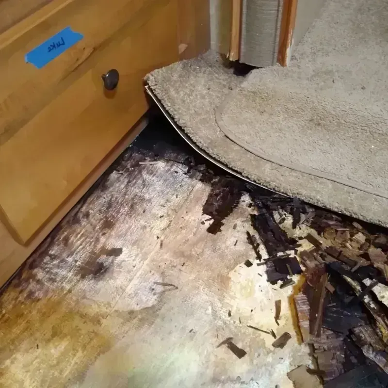 Best Wood Floor Water Damage Service in Welby, CO